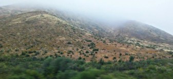 Border South to La Paz