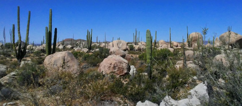 Border to La Paz Rocks #4