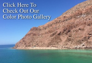 Color Photo Gallery Link