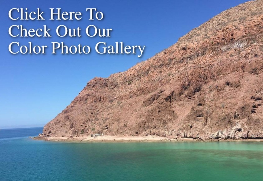 Color Photo Gallery Link