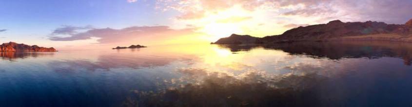 20503834_10207336719574829_1891362416_n