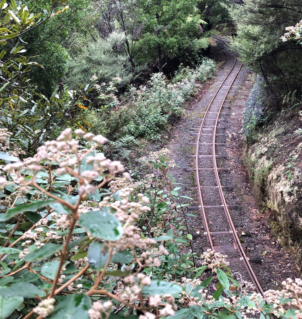 Driving Creek Railway