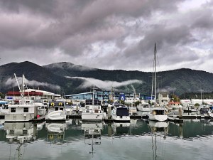 Havelock Marina Under Fog