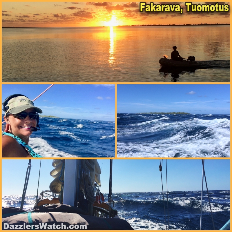 Fakarava Entrance Collage