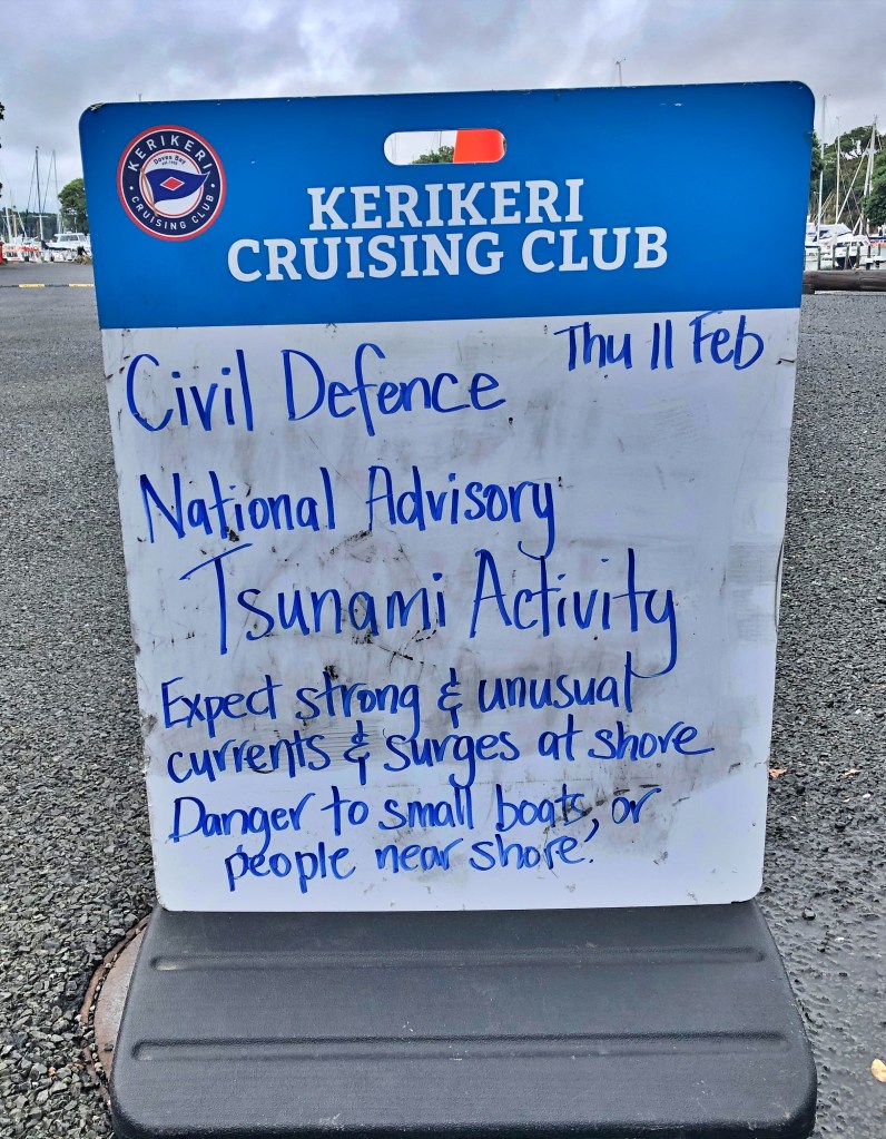 Tsunami Warning Sign