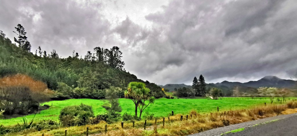 Driving The Coromandel Peninsula