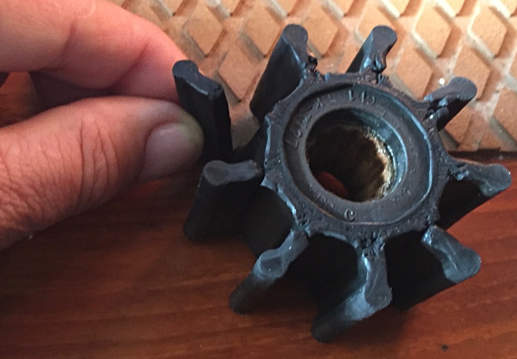 A bad impeller Captain Dan had to replace underway.