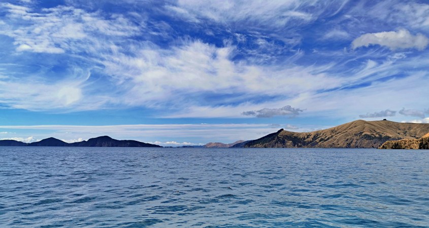 Where did Dazzler Go?