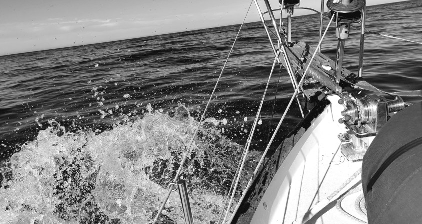 Weather Gods & Majestic Wildlife