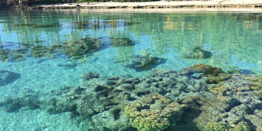 The bommies near shore in the crystal clear waters of Kauehi